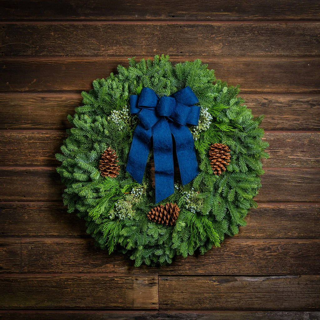 Blue Bow Traditional - Image 5
