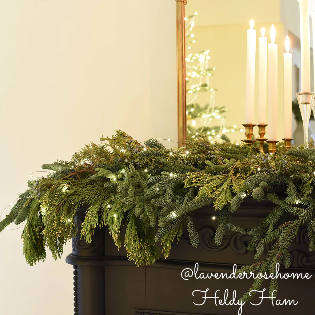 Box of Evergreens - Image 3
