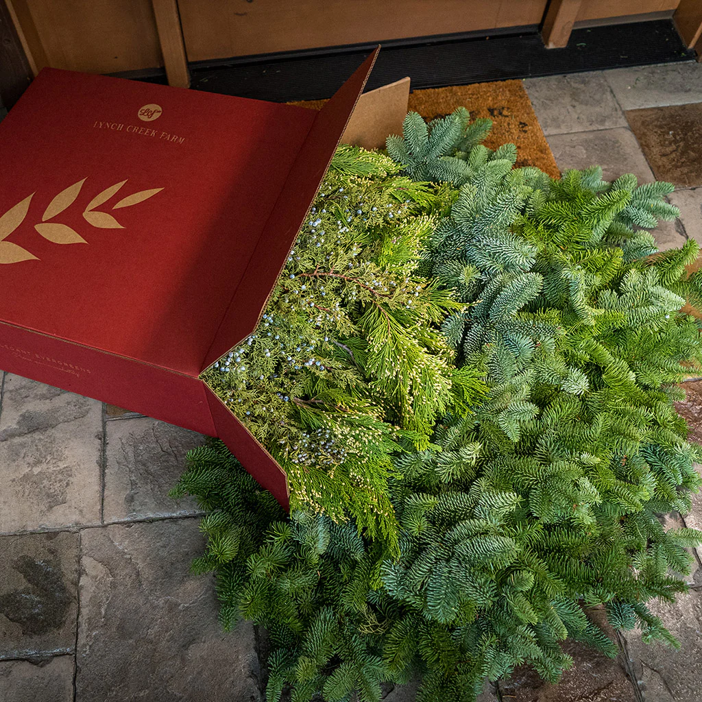 Box of Evergreens - Image 6