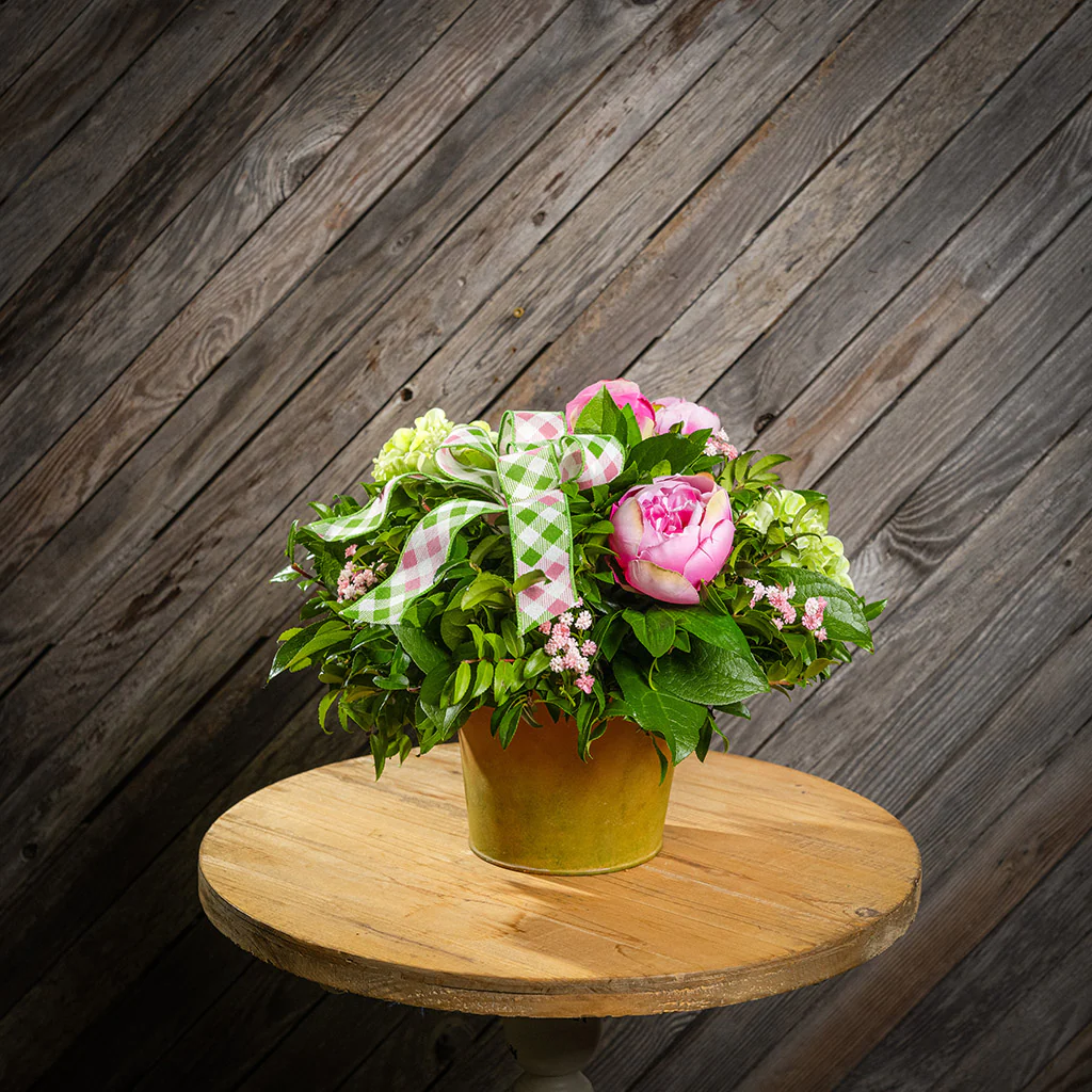 Brazen Beauty - Image 3