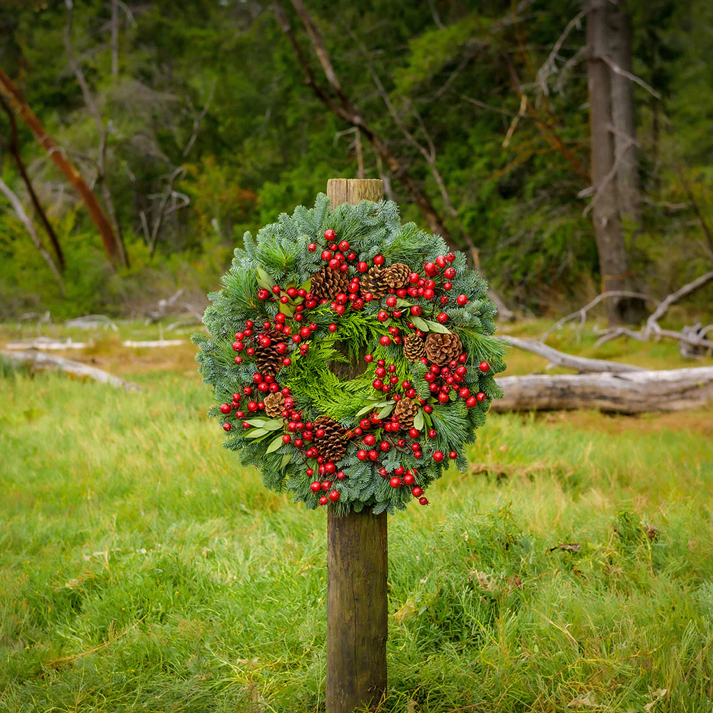 Brilliant Berries - Image 4