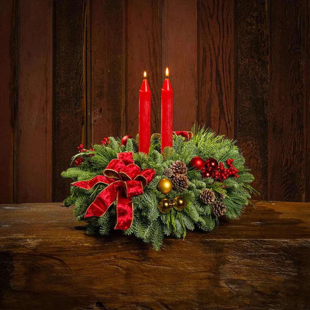 Burning Bright - Image 7