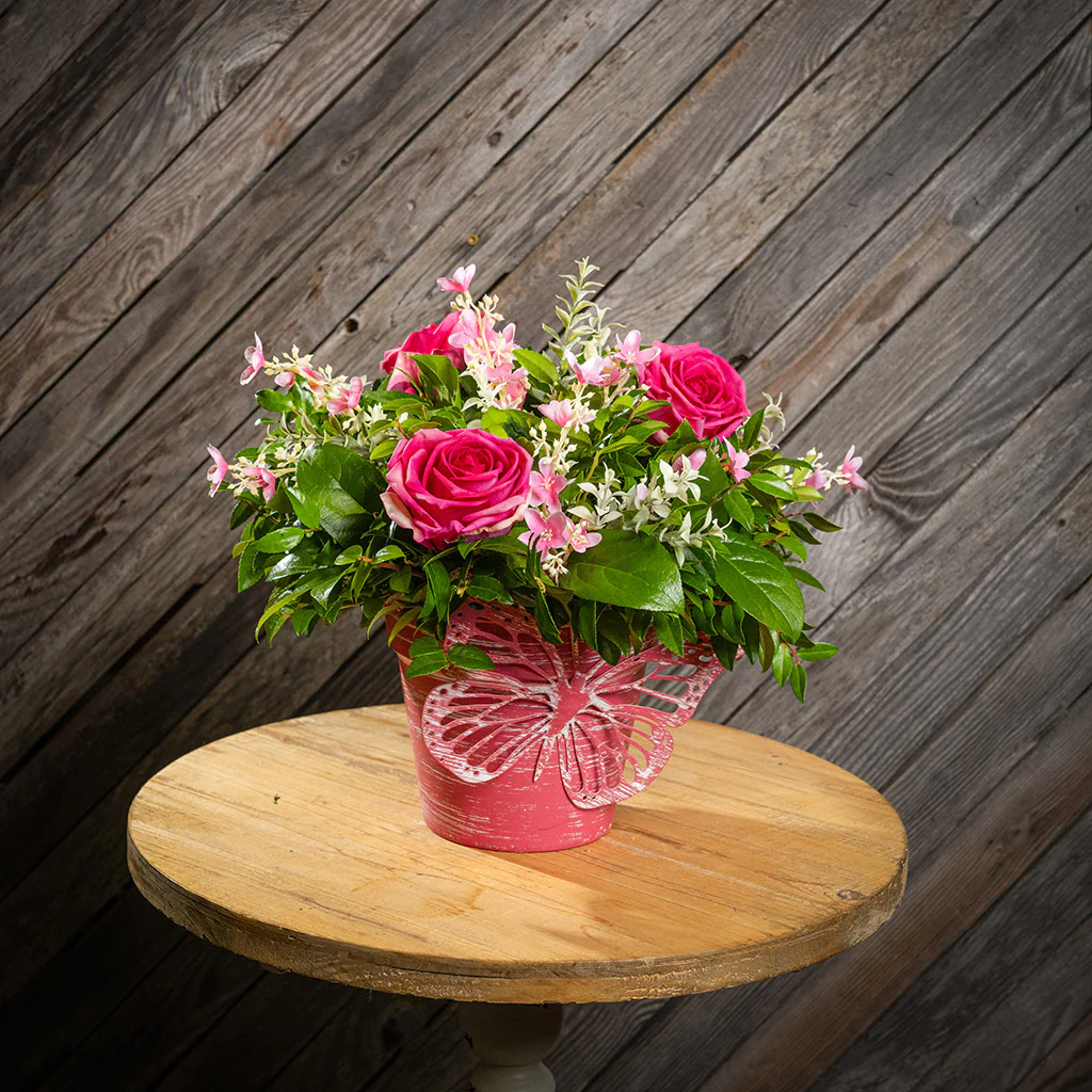Butterfly Blooms - Image 5
