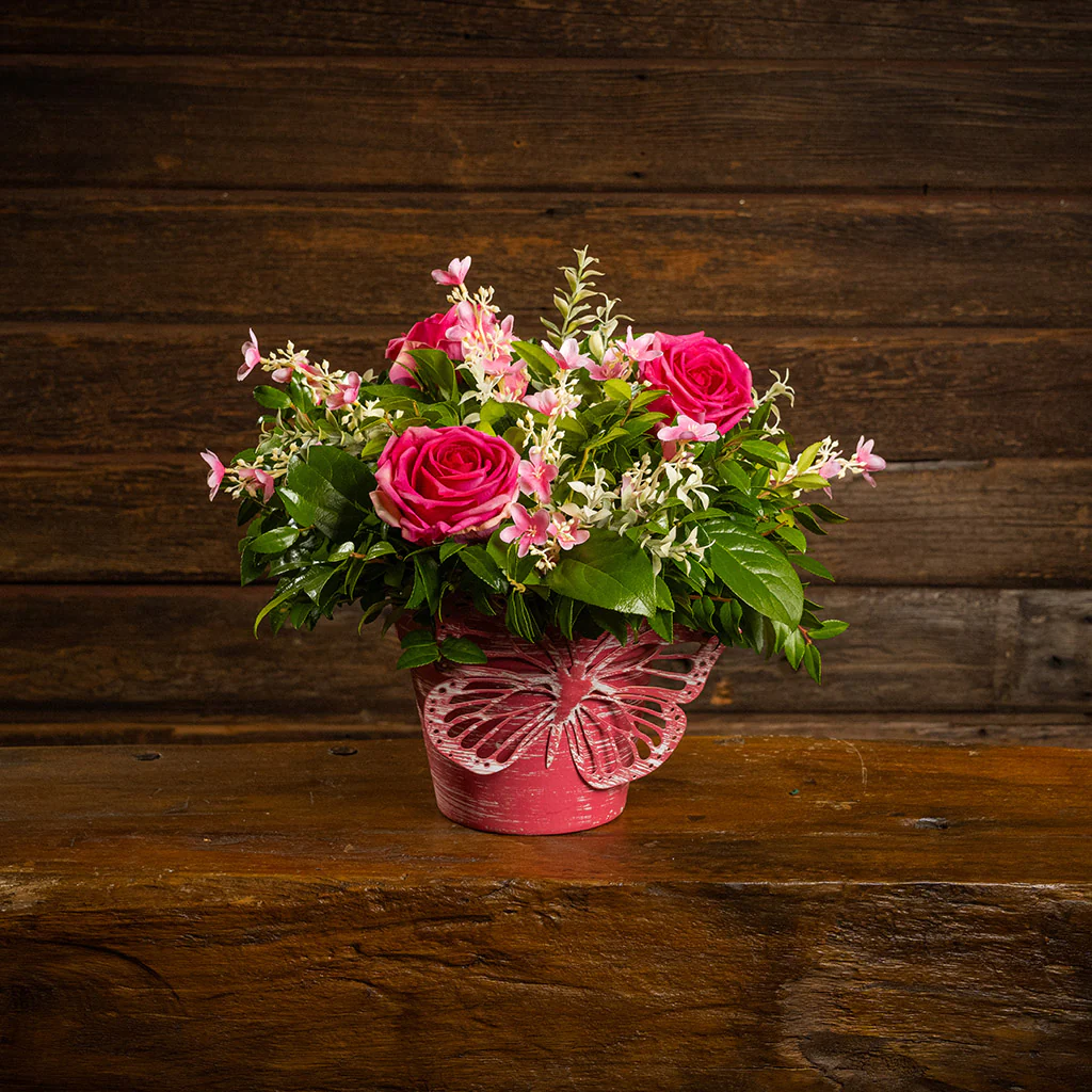 Butterfly Blooms - Image 7