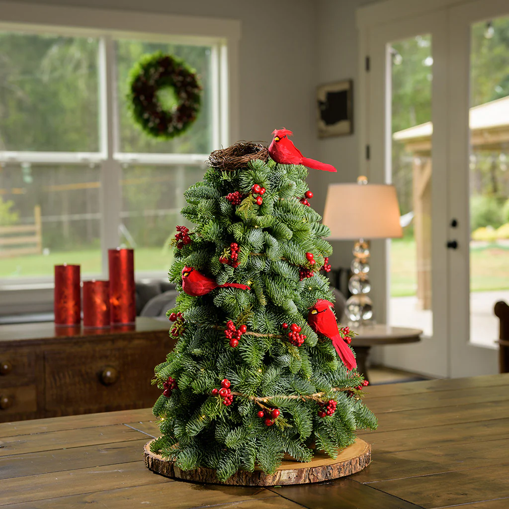 Cardinal Christmas - Image 2