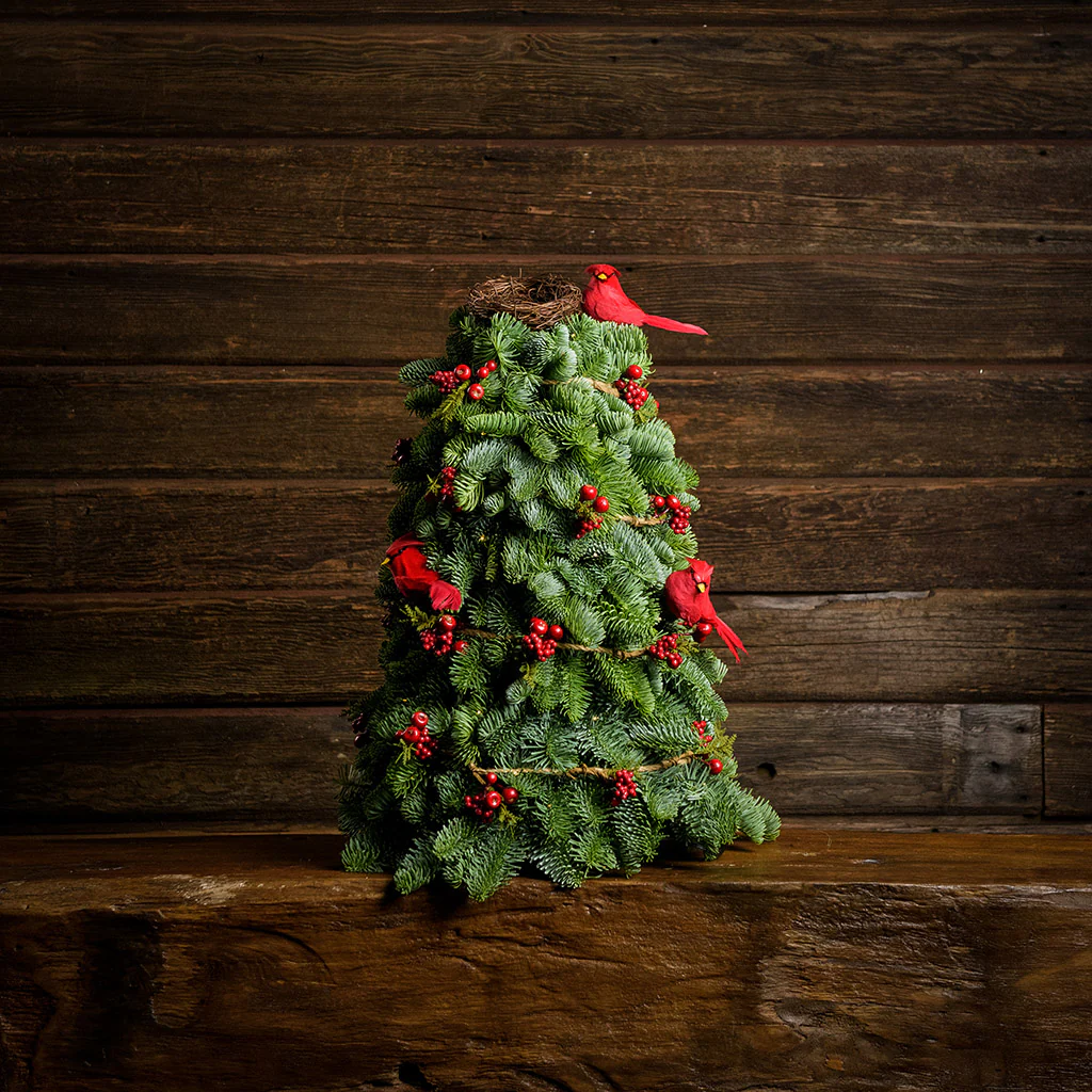 Cardinal Christmas - Image 3
