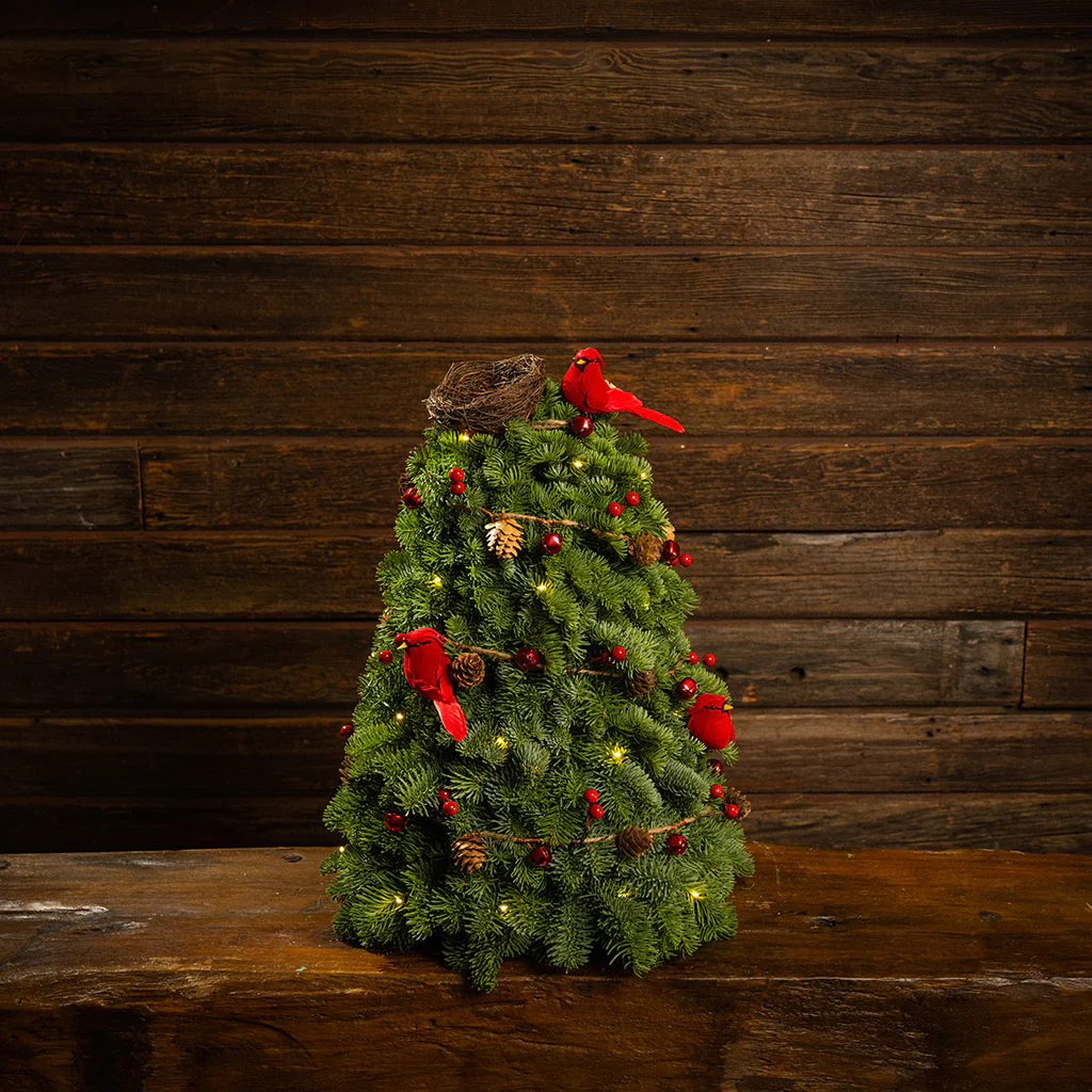 Cardinal Christmas - Image 4