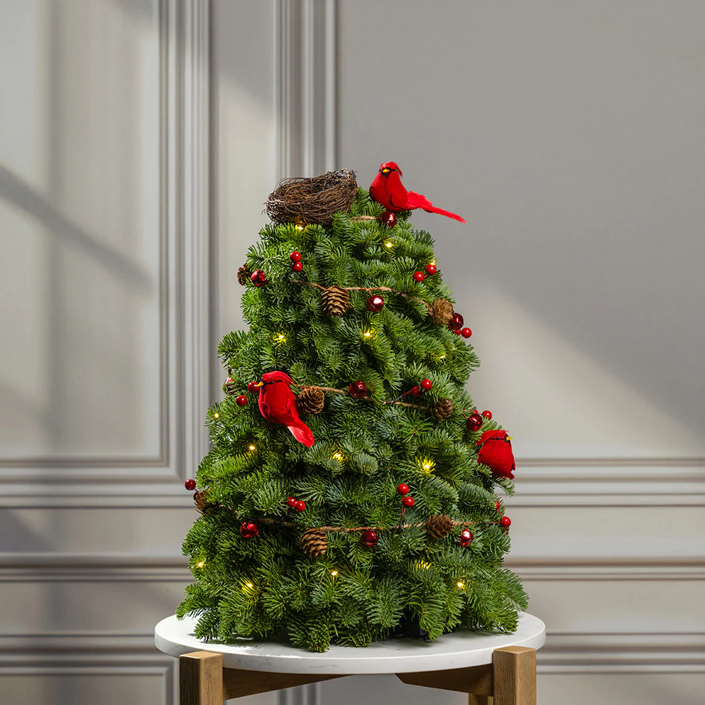 Cardinal Christmas - Image 5