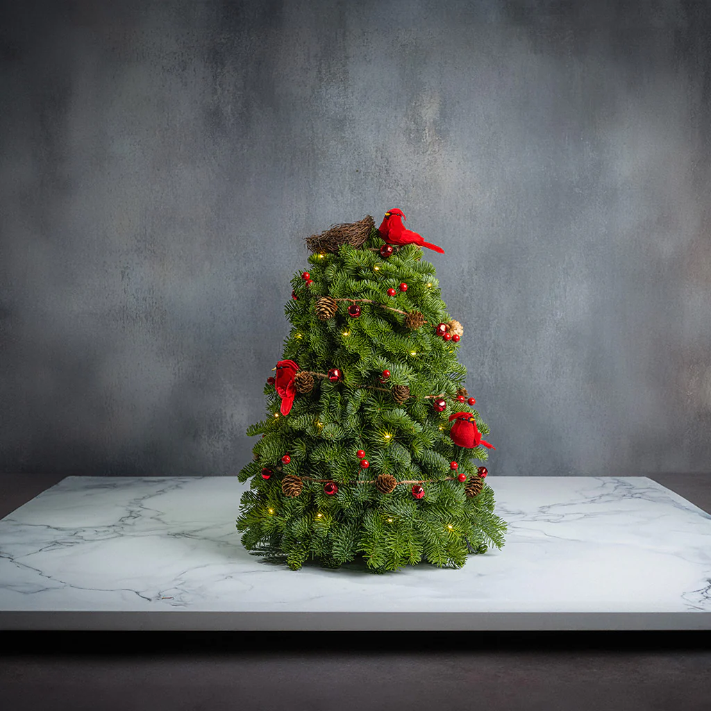 Cardinal Christmas - Image 6