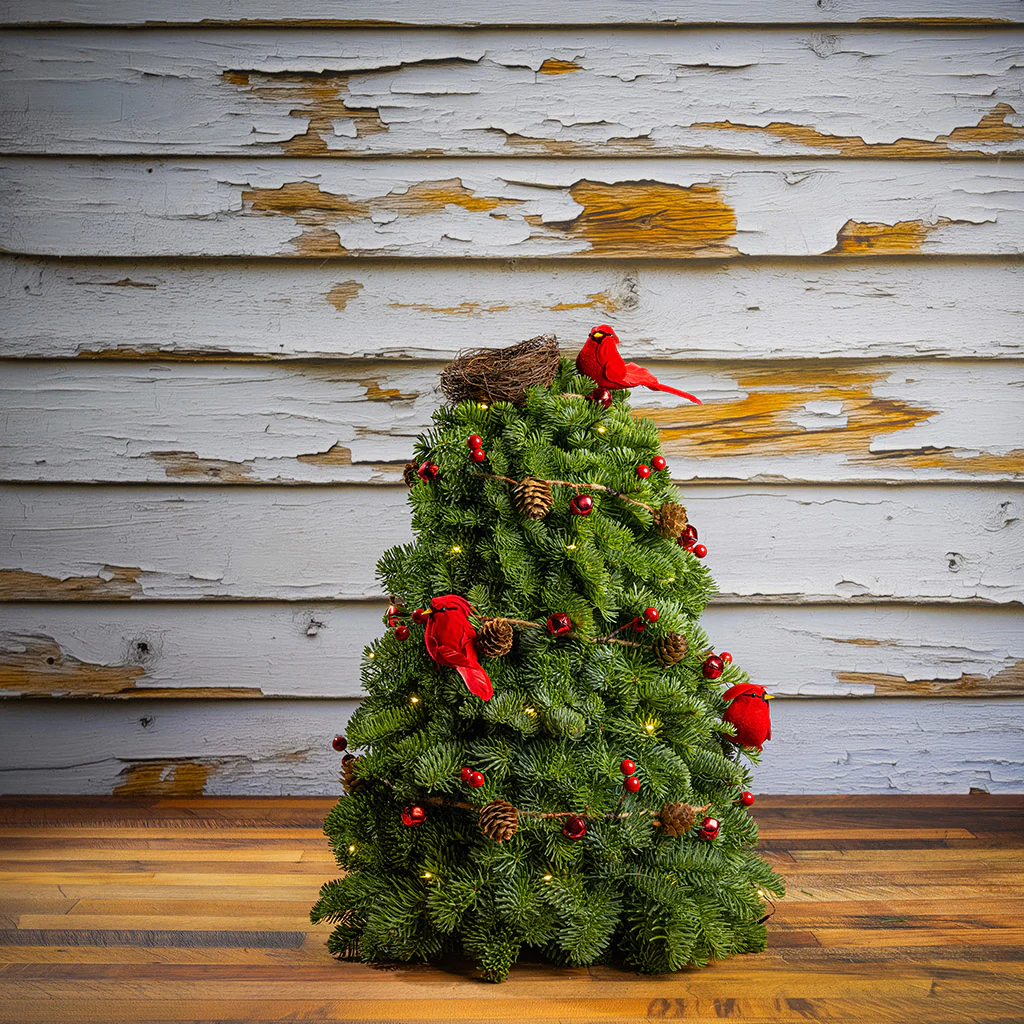 Cardinal Christmas - Image 7