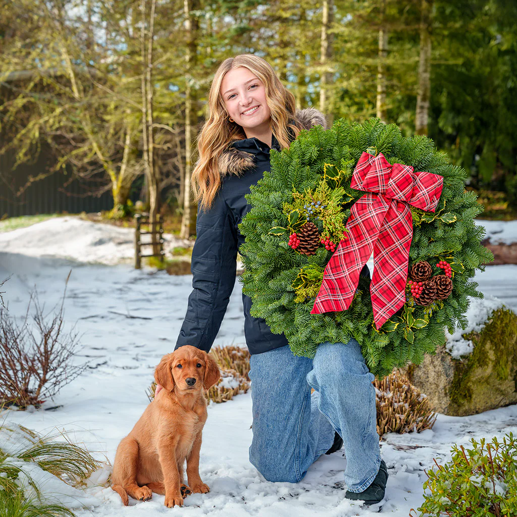 Classic Holly - Image 11