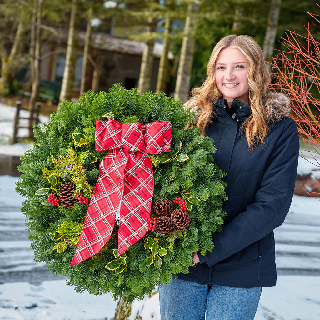 Classic Holly - Image 2