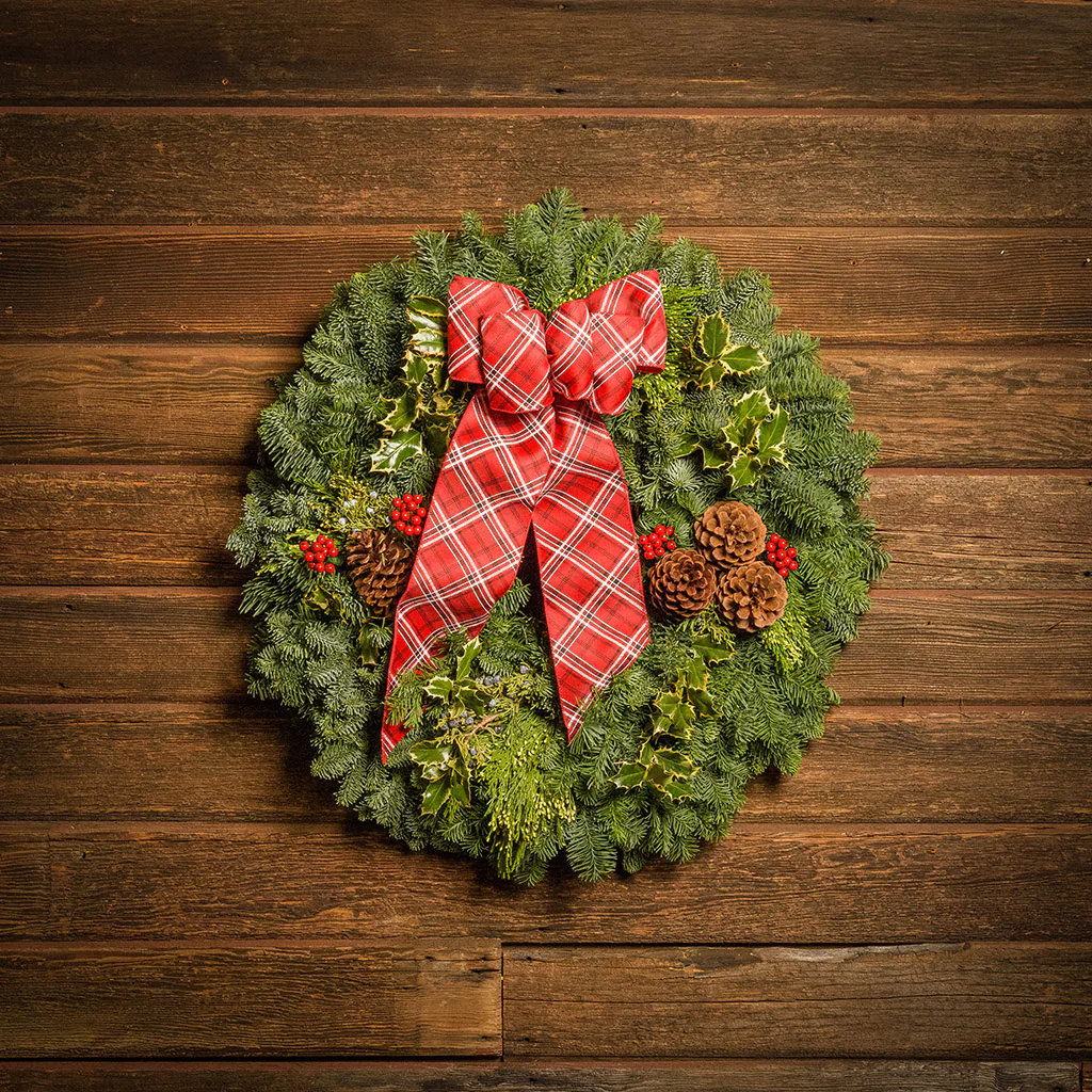 Classic Holly - Image 9