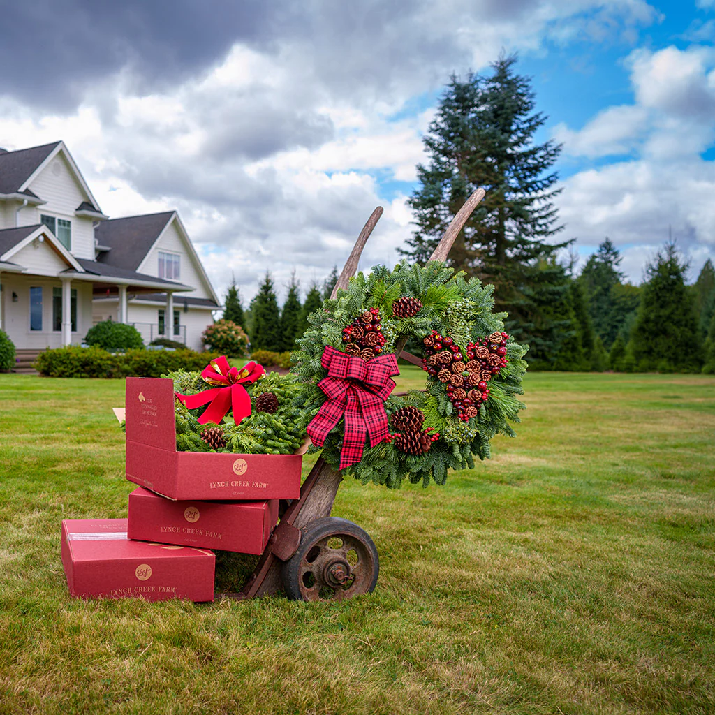 Country Christmas - Image 10