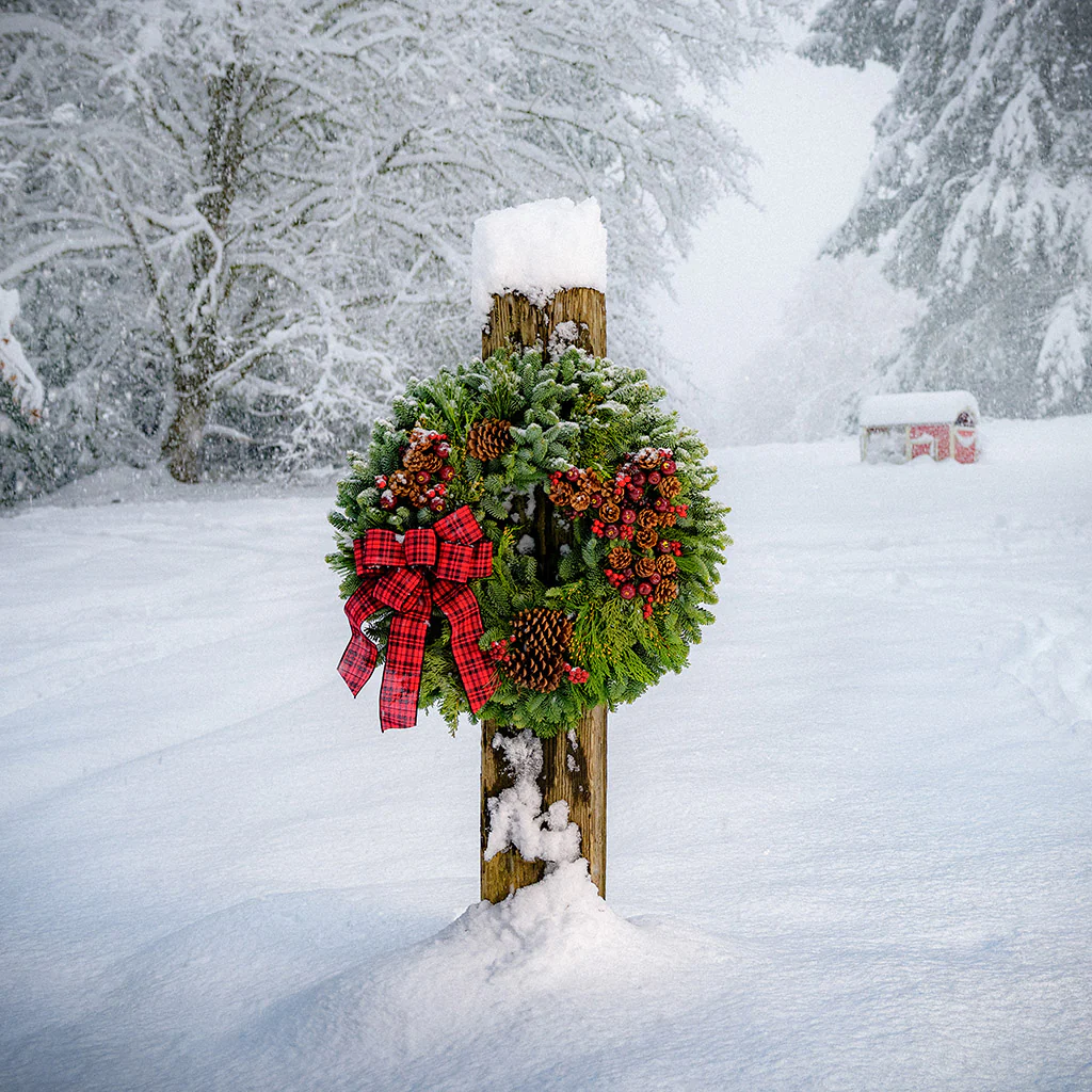 Country Christmas - Image 13