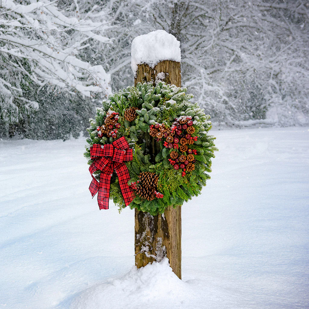 Country Christmas - Image 3