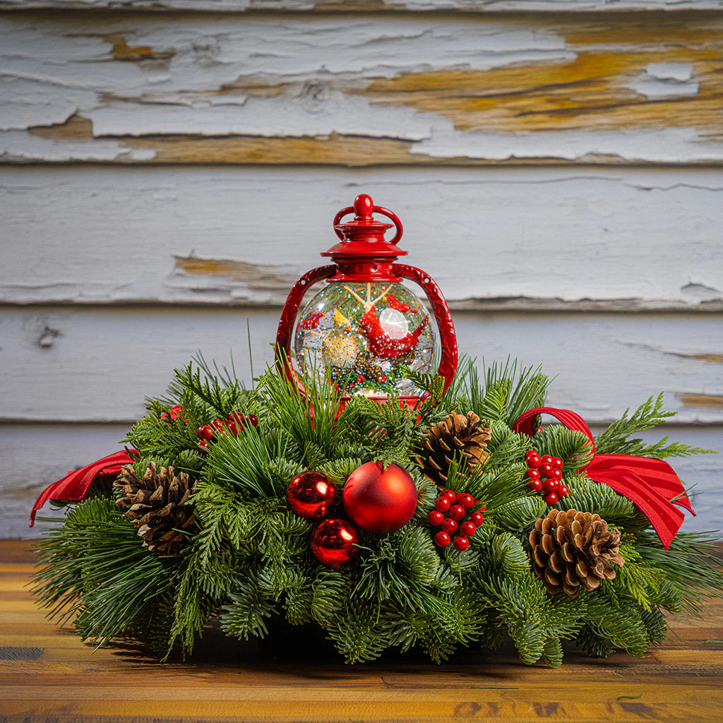 December Cardinals - Image 3