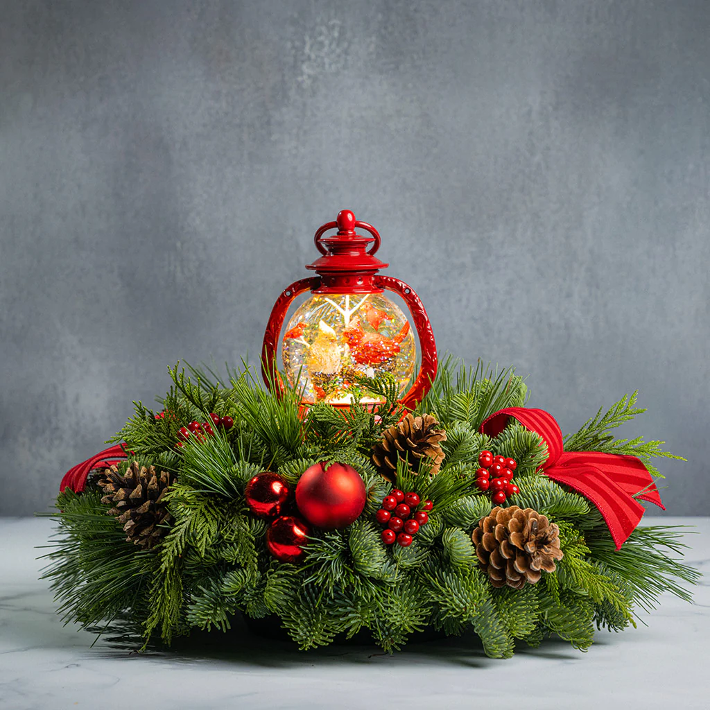 December Cardinals - Image 4