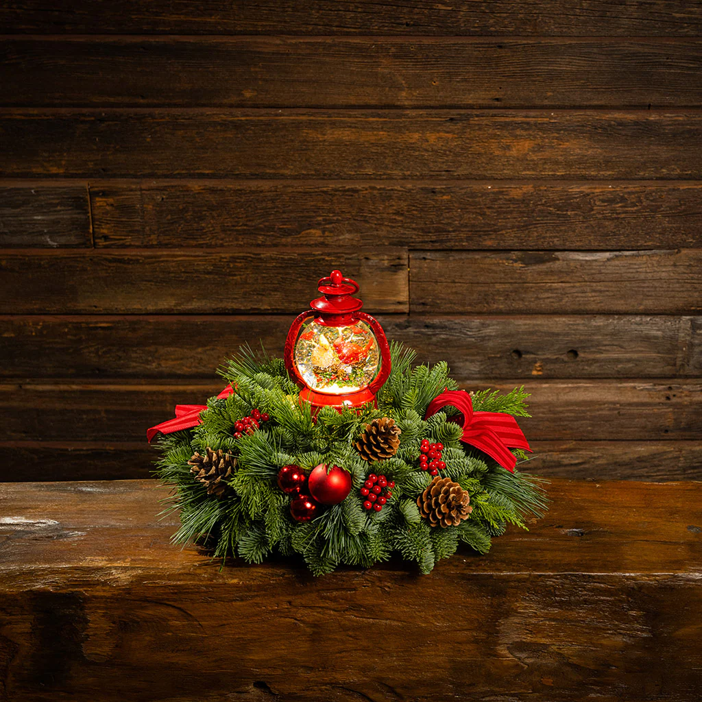 December Cardinals - Image 6