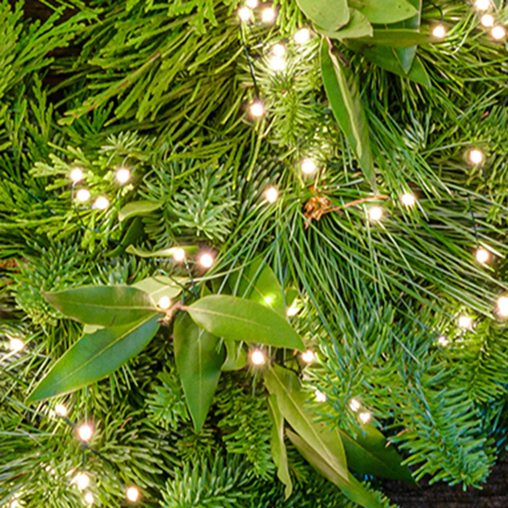 Fire Cracker Lights - Image 3