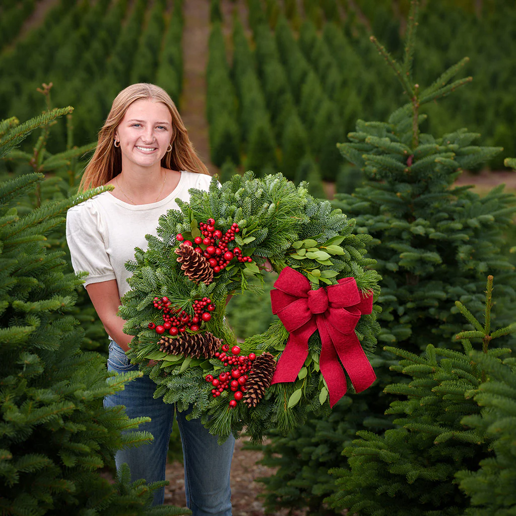 Homestead Holiday - Image 3