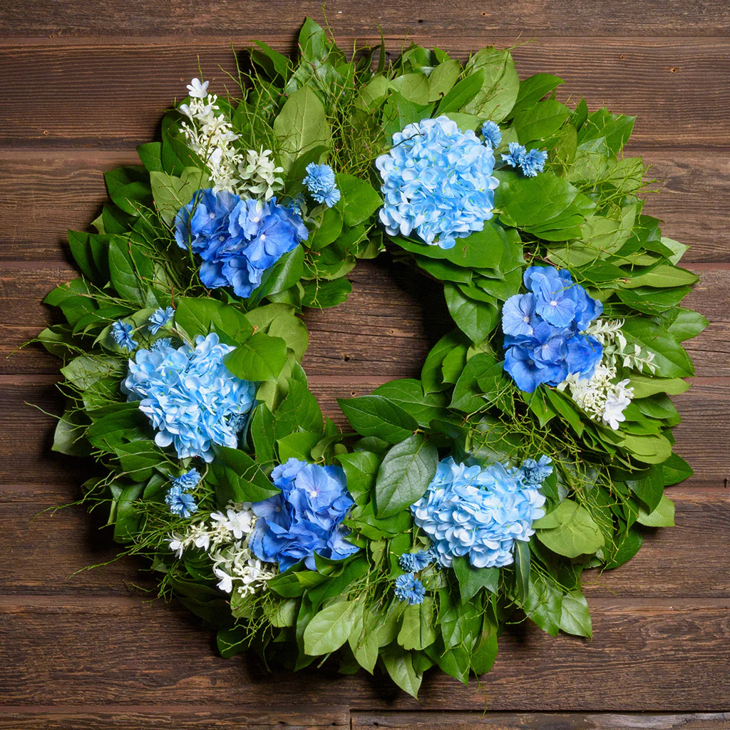 Hydrangea Fields