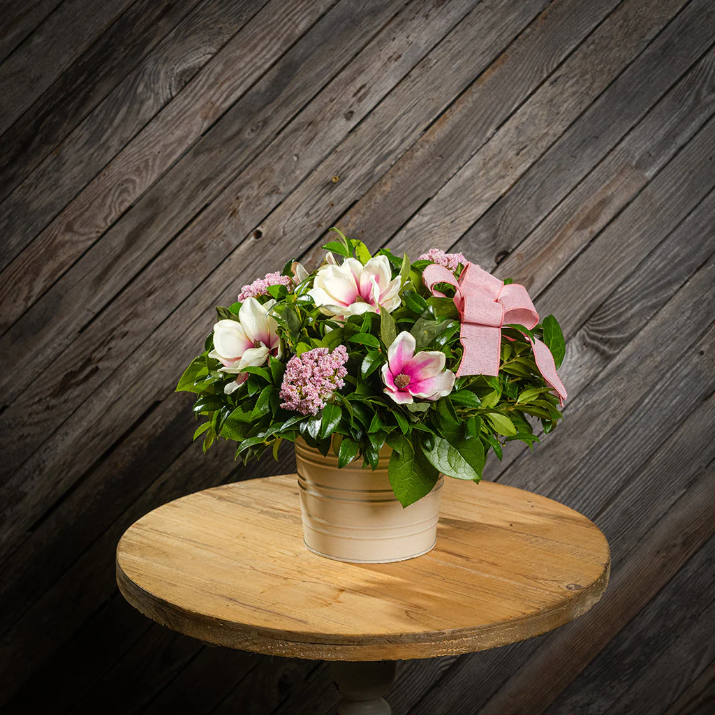 Magnolia Grace - Image 3