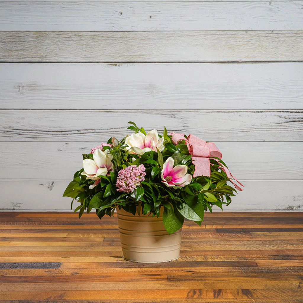 Magnolia Grace - Image 5