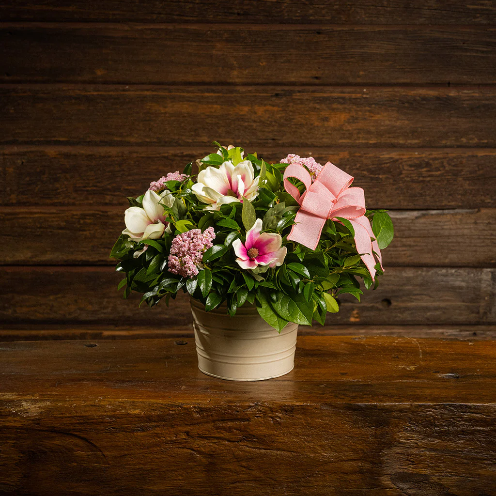 Magnolia Grace - Image 6
