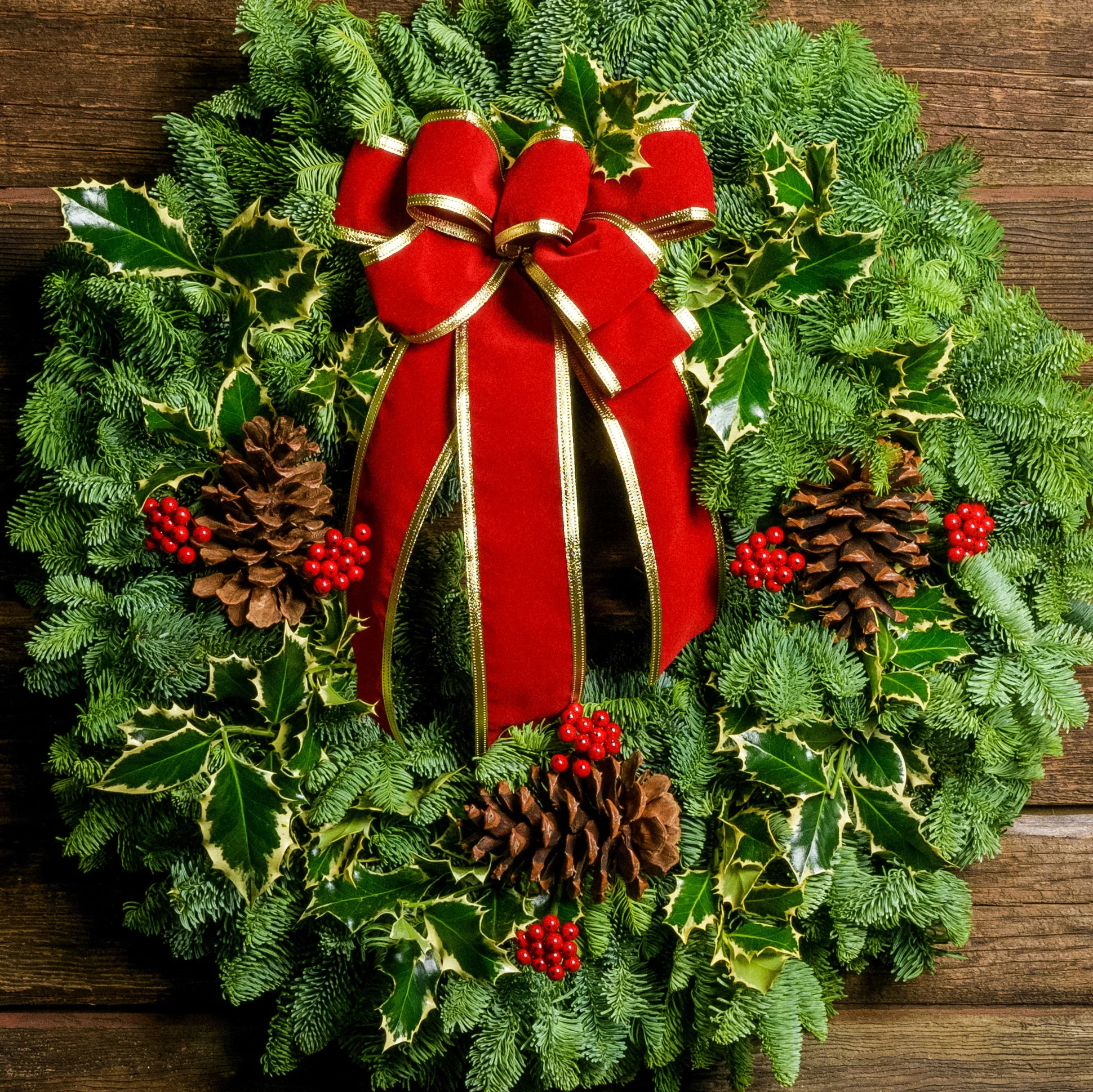 Mixed Holly - Image 10