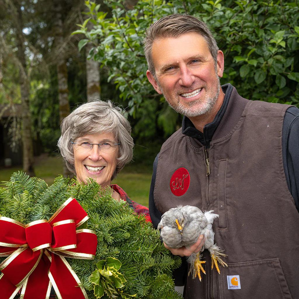 Mixed Holly - Image 11