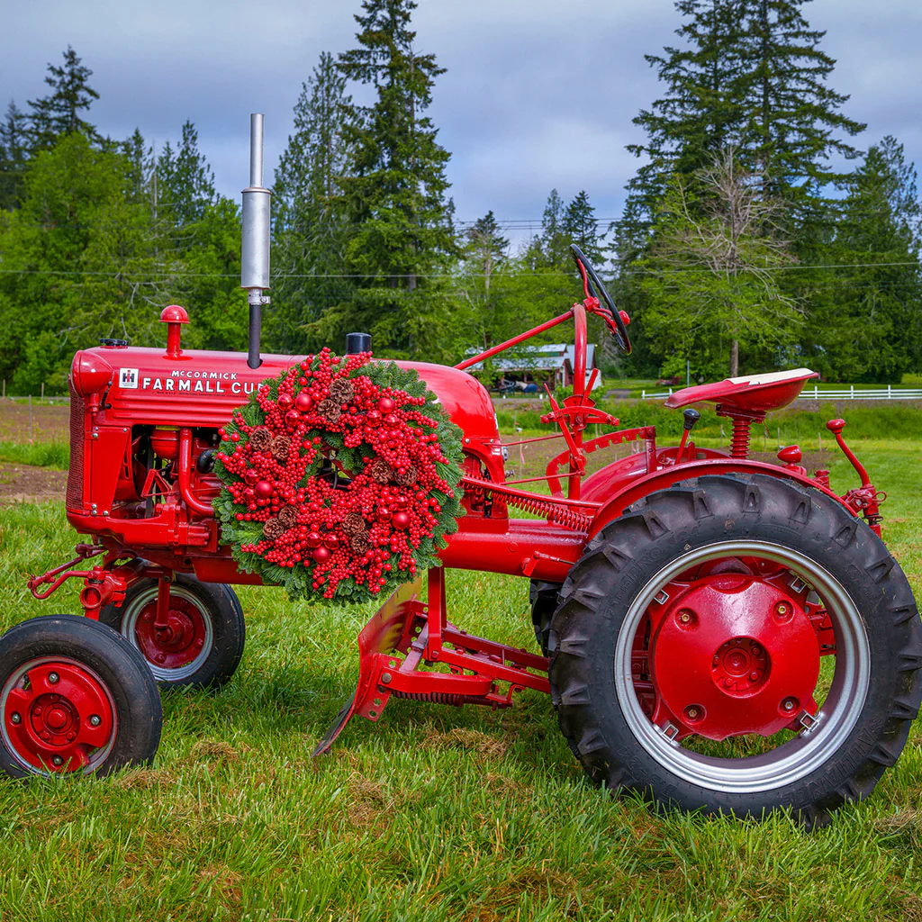 Pacific Pepperberry - Image 7