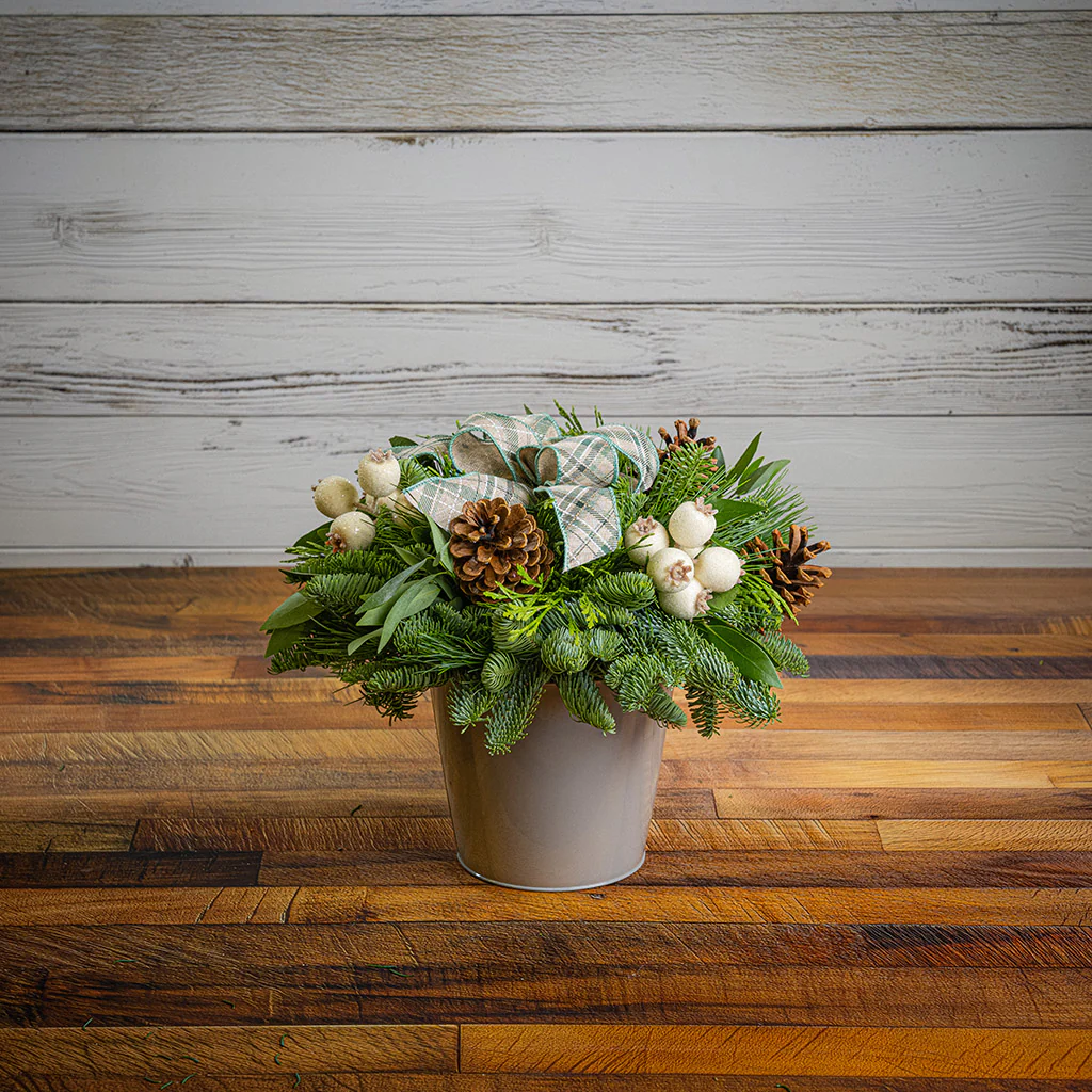 Plaid & Pines - Image 3