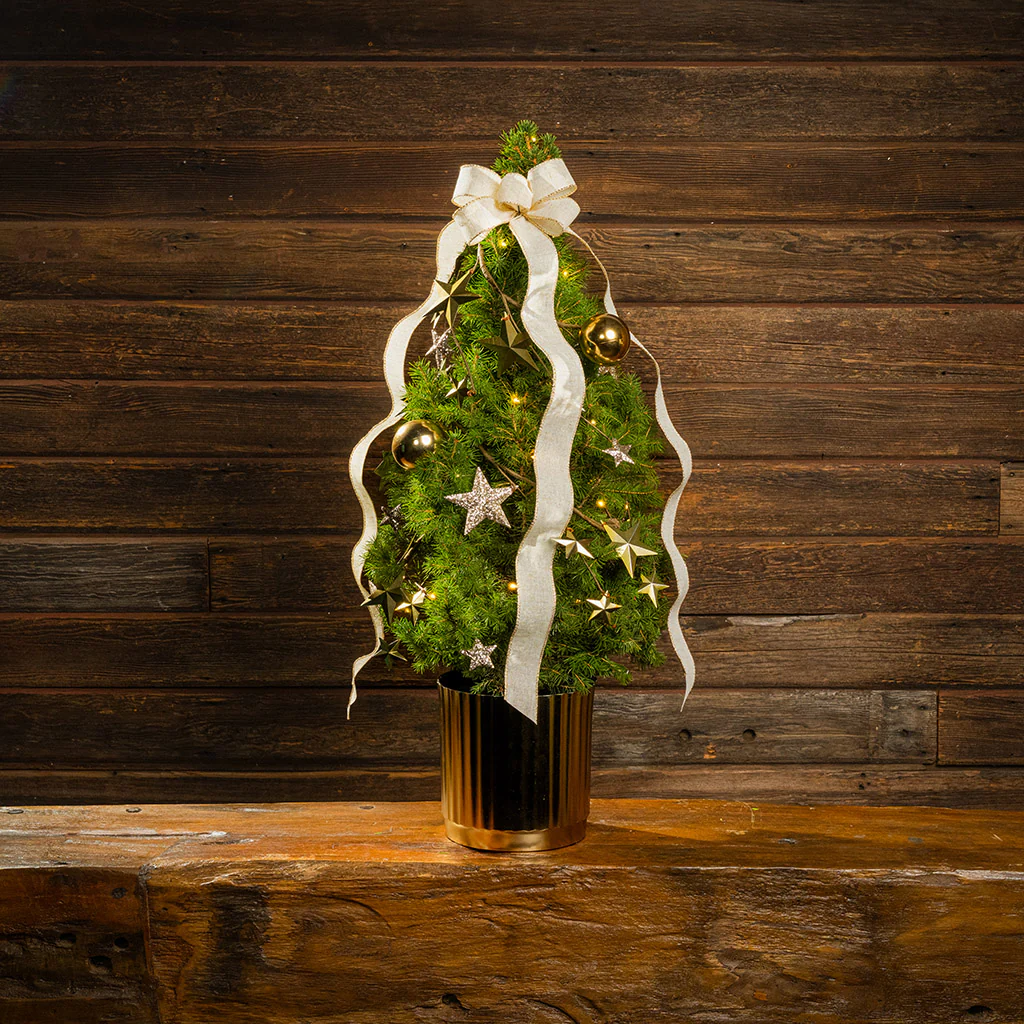 Radiant Living Christmas Tree - 1 Gallon - Image 3