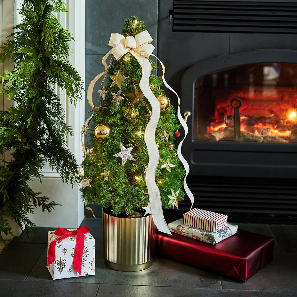 Radiant Living Christmas Tree - 1 Gallon - Image 4