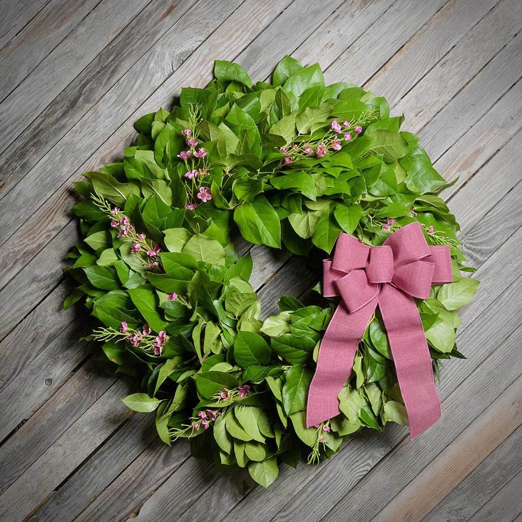 Salal Dreams - Image 2