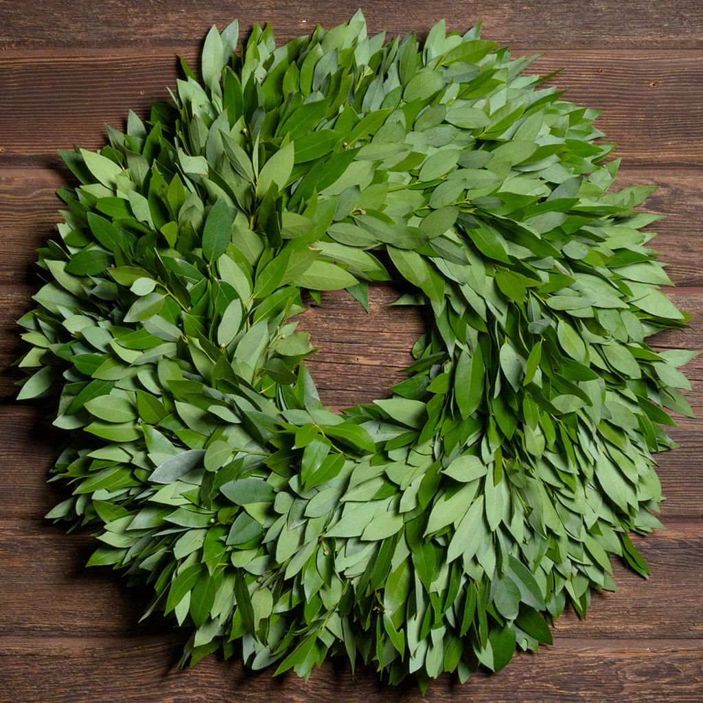 Simply Bayleaf