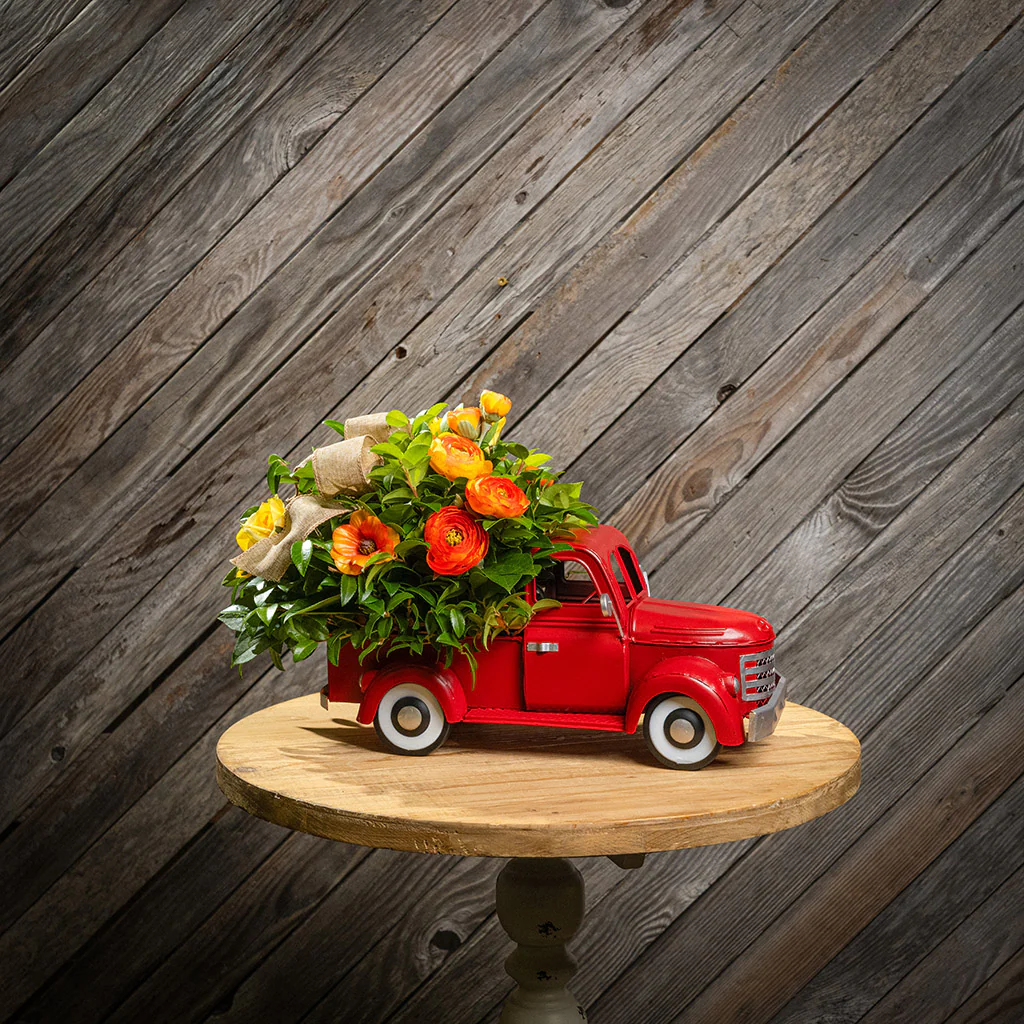 Spring Delivery - Image 6