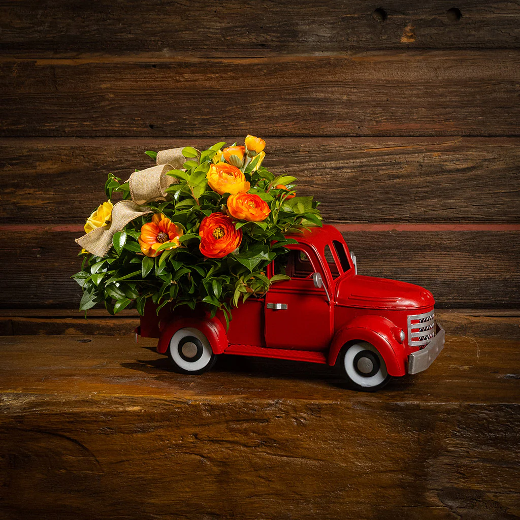 Spring Delivery - Image 7