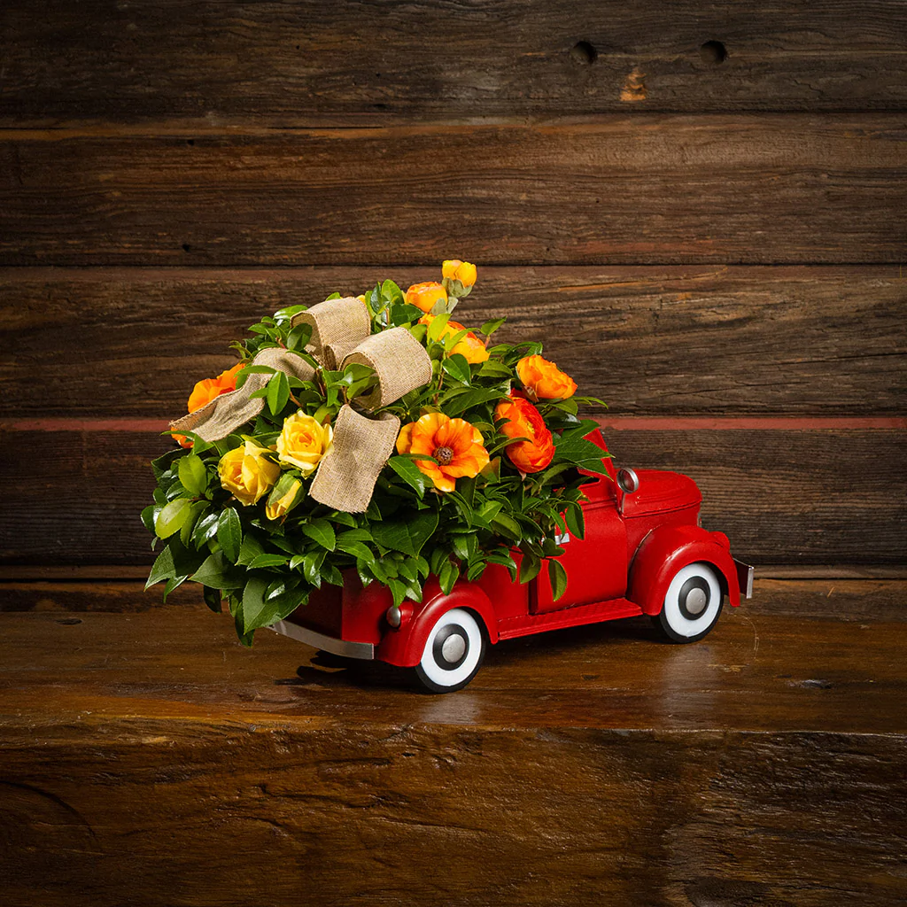 Spring Delivery - Image 8