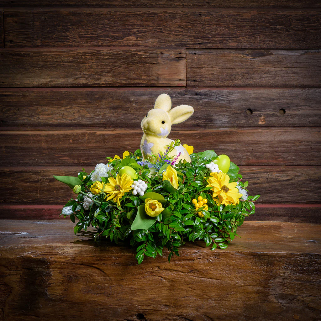 Sunny Bunny - Image 5
