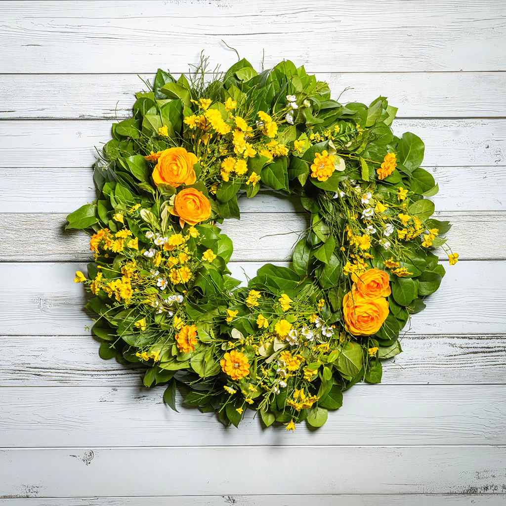Sunny Citrus - Image 3