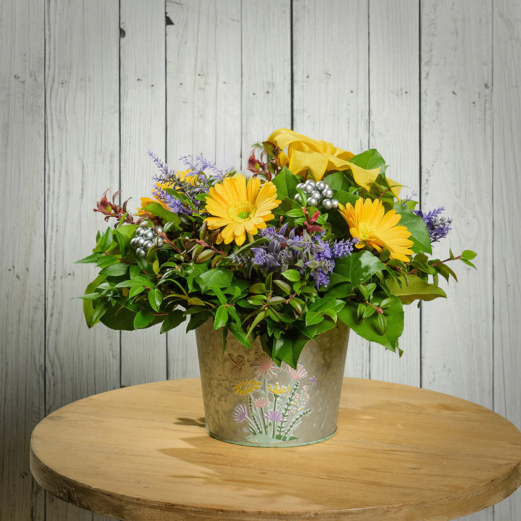 Sunshine Serenade - Image 5
