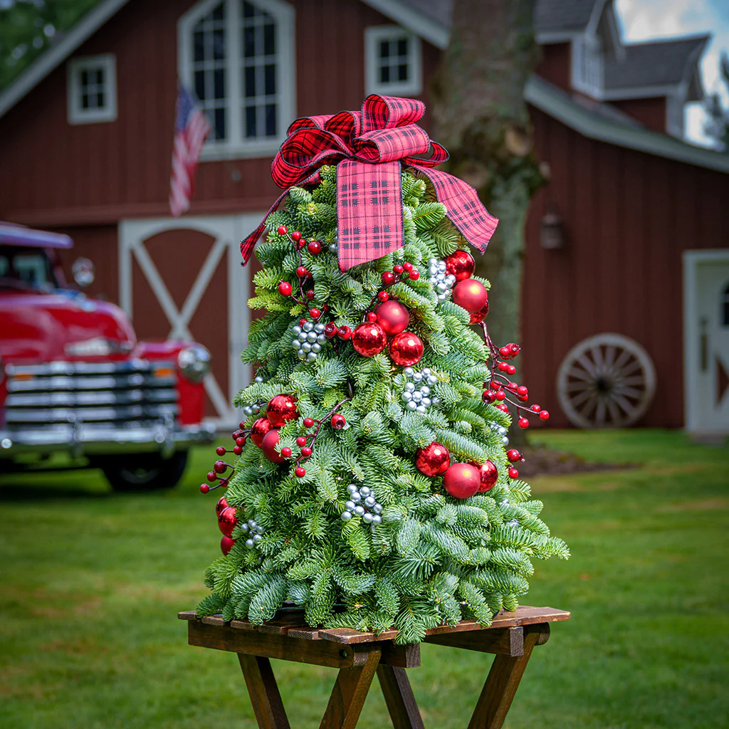 Tartan Tree - Image 3