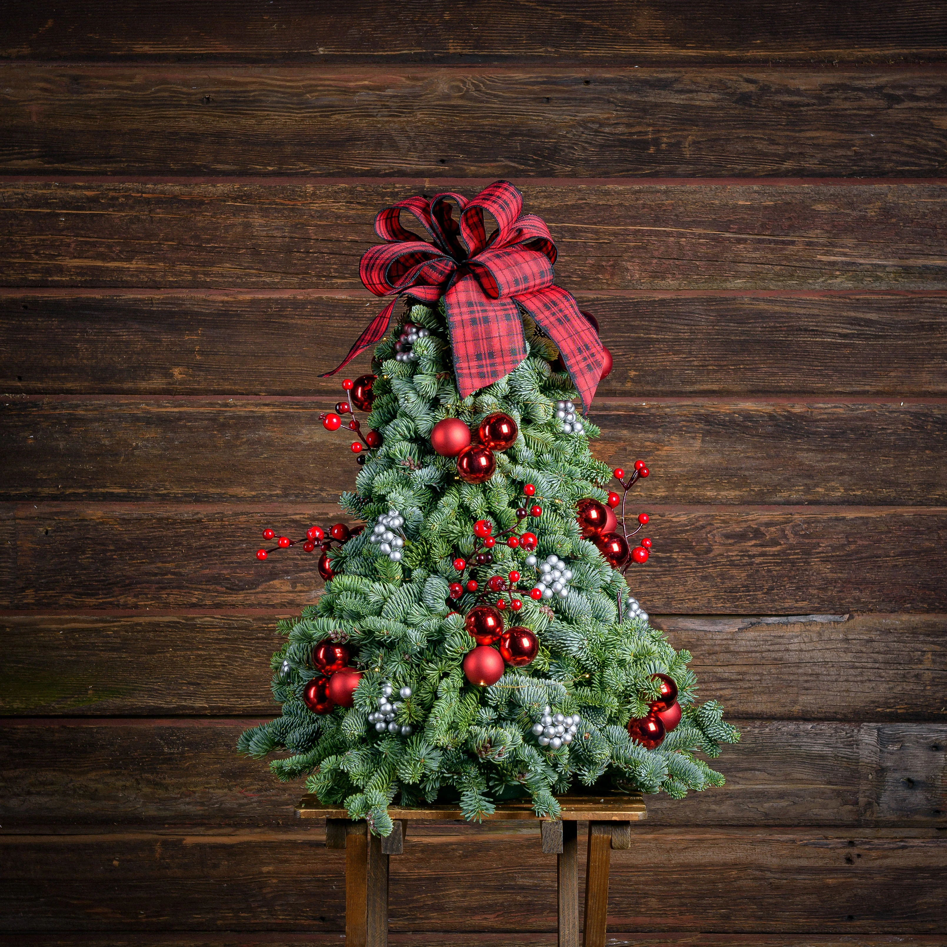 Tartan Tree - Image 6