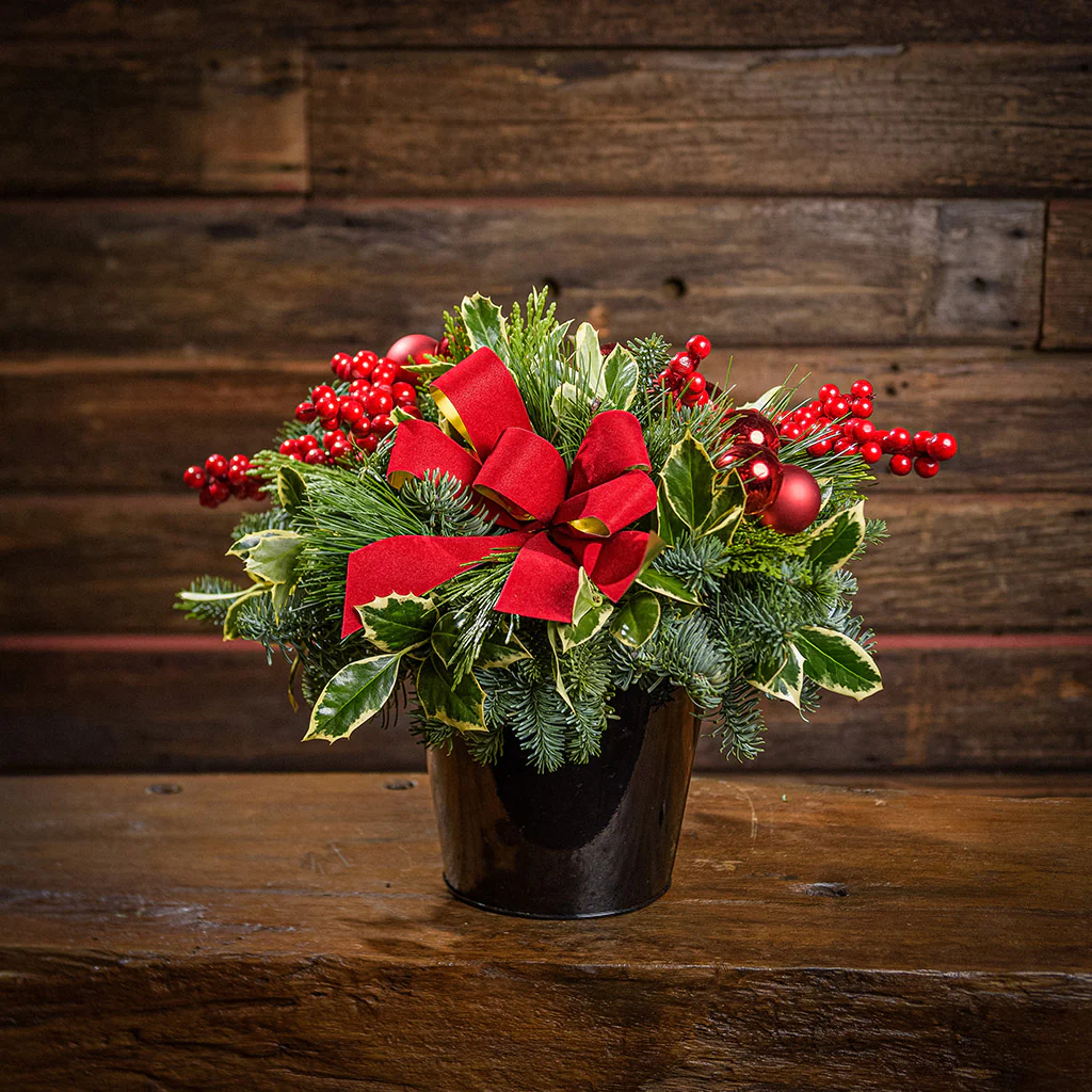 Winter Grace - Image 2