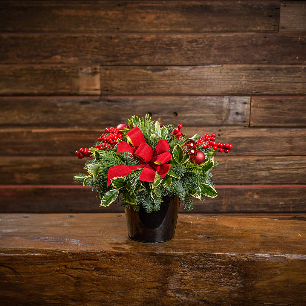 Winter Grace - Image 3