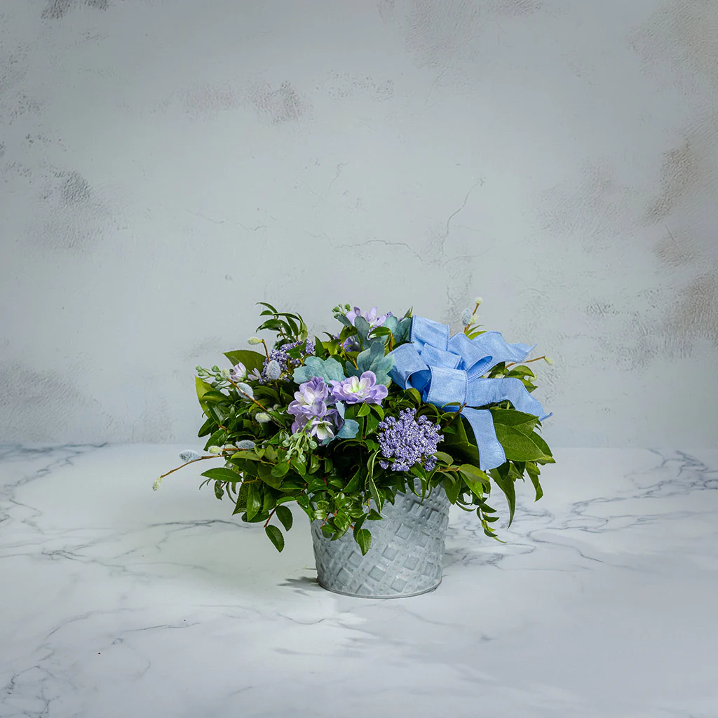 Wishes and Willows - Image 6